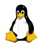 Linux logo